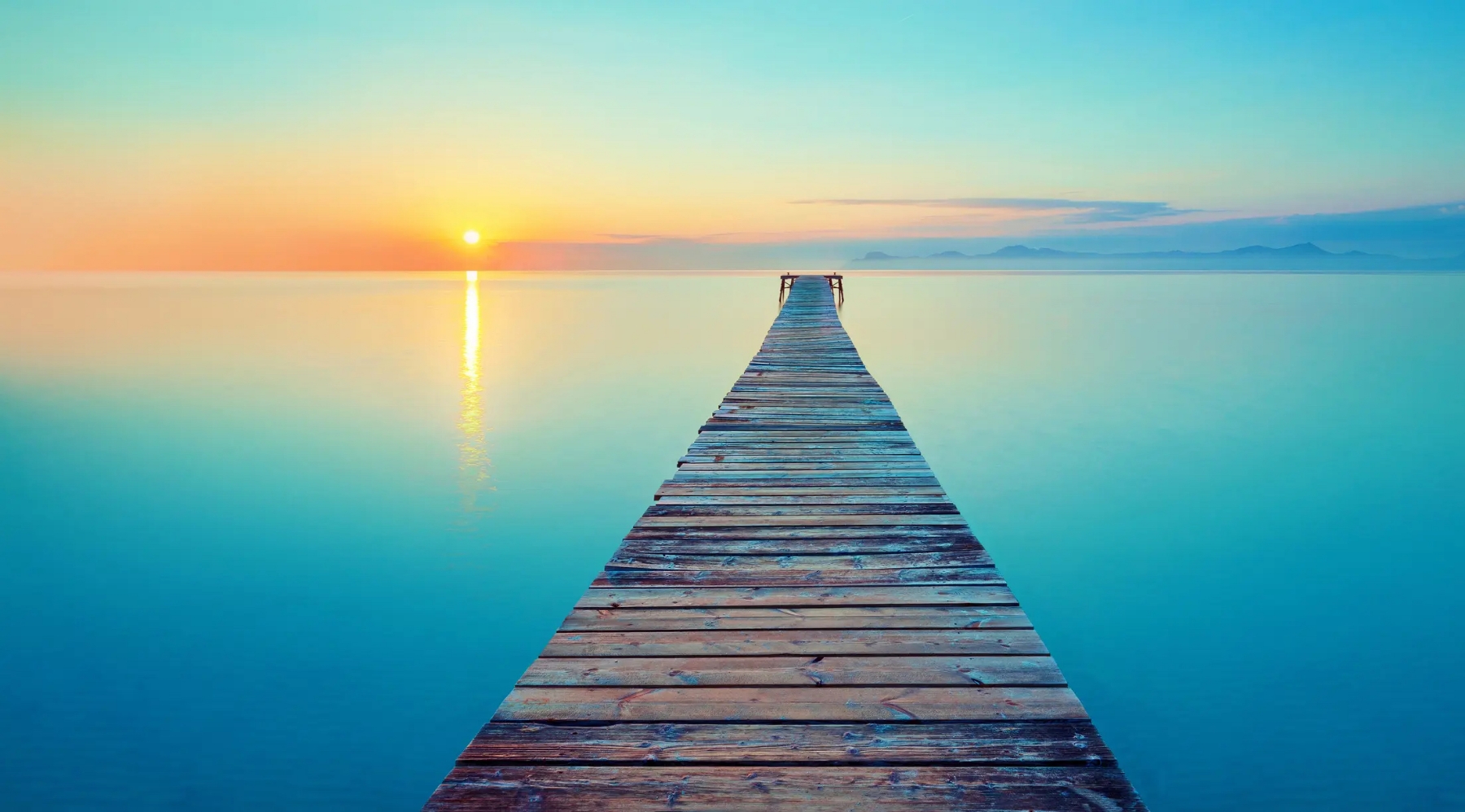 Banner 2